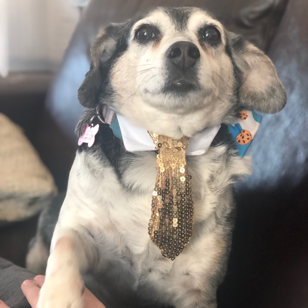 Meet your Posher, Kelly